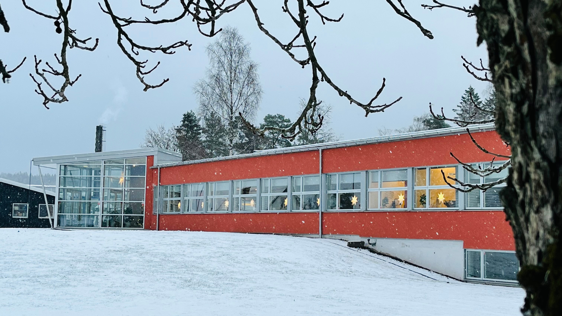 Öppettider jul & nyår