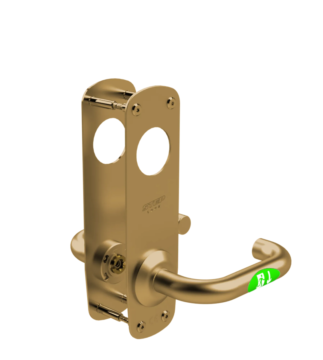 ST17903-5- borstad mässing
